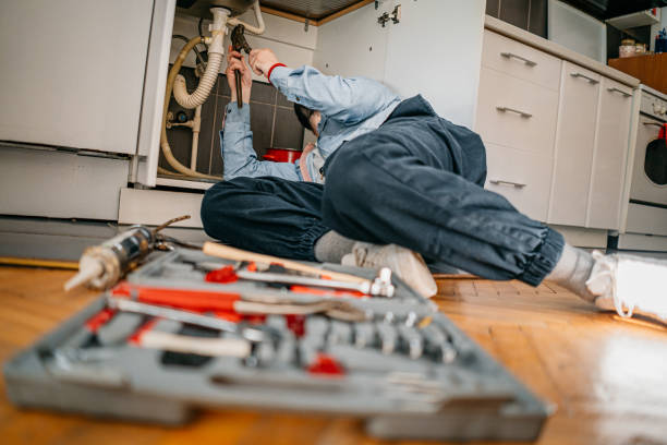 Best Same-Day Plumbing Service  in Rushvle, IL